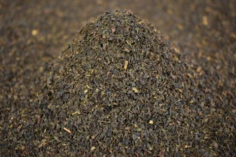 Bulk of tea Stock Photos