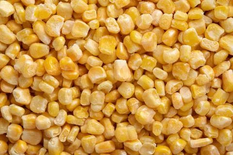 Bulk of yellow corn grains texture macro 스톡 사진