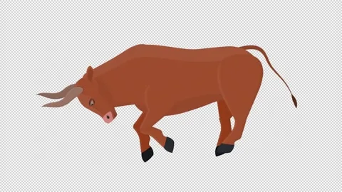 Bull. Animal ox. Cartoon | Stock Video | Pond5