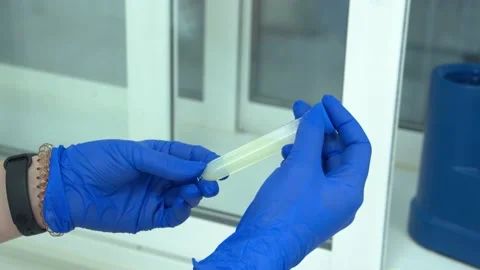 Bull biomaterial Video stock 135998211