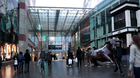 The bull birmingham Stock Footage 49866509