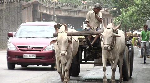 Bull cart in mumbai busy traffic, India Stock Footage