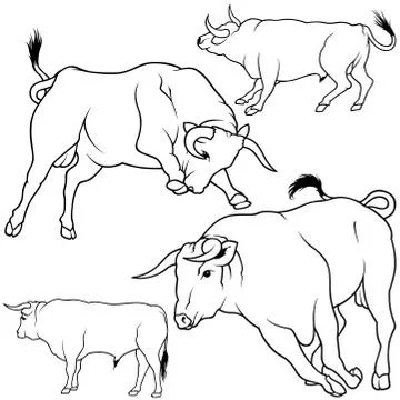 Bull Collection Stock Illustration