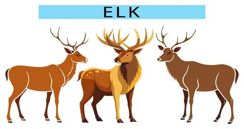 Bull Elk vector icon, Elk illustration isolated, Deer Elk clipart image Stock Illustration