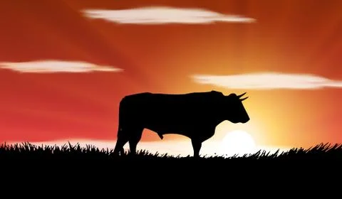Bull in the field Stock Illustration