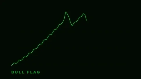 Bull Flag Chart Pattern Animated Graphic for Financial Trading Analysis Stock Footage 335474015