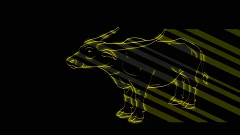 Bull Stock Footage 153481638