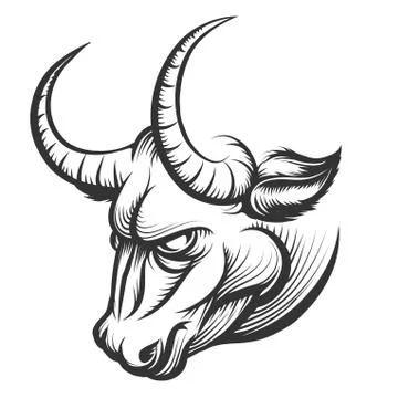Bull Head Stock Illustration