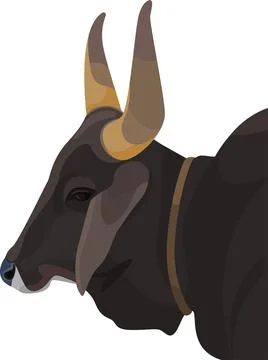 Bull Head Stock Illustration