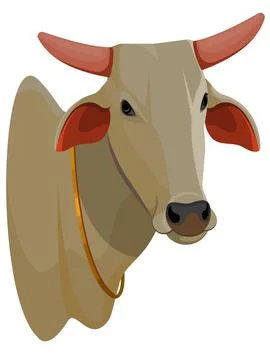 Bull Head Stock Illustration