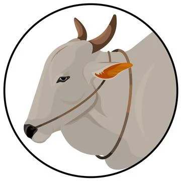 Bull Head Stock Illustration