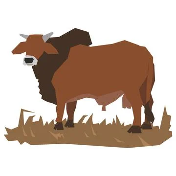 Bull Illustration Stock Illustration