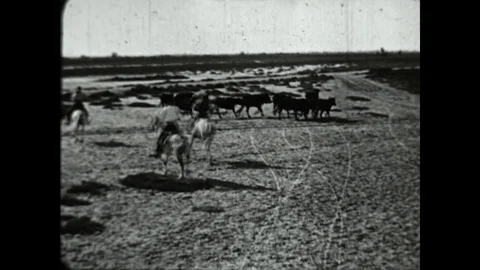 Bull Leaping Stock Footage 83611964