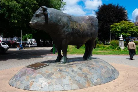 Bull Monument at Main Square Stock Photos