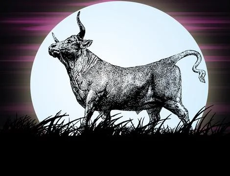 Bull in the night Stock Photos