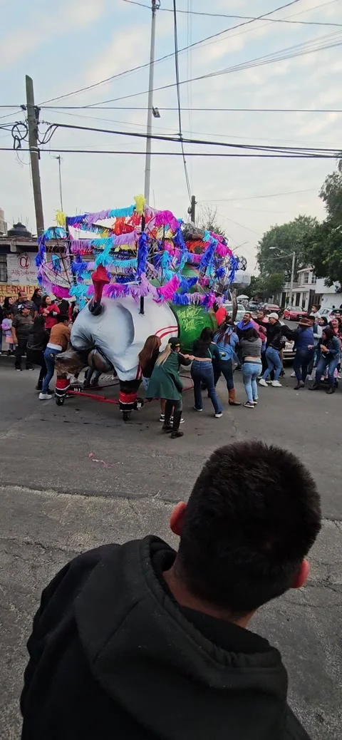 Bull Parade Float Knocks Distracted Guy Down, Mexico City, Mexico - 04 Oct 2024 Stock Footage 289150824