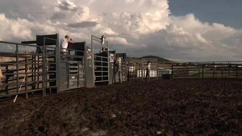 Bull riding - rider practicing - gets thrown Stock Footage 132828391
