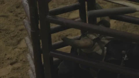 Bull in roping chute Video stock 199321482