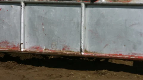 Bull running, slow motion Stock Footage 62280512