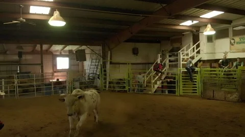 Bull running towards camera Stock Footage 155526763