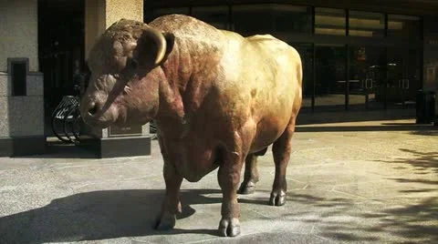 Bull Sculpture Stock Footage 19158610