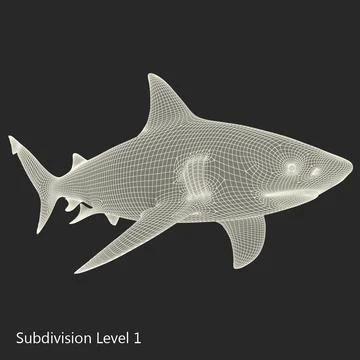 3D Model: Bull Shark ~ Buy Now #90657999 | Pond5