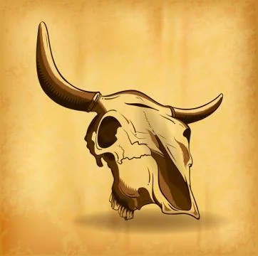 Bull skull Stock Illustration