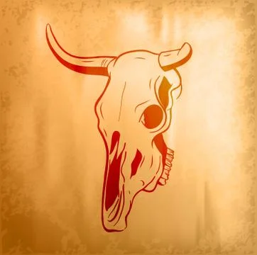 Bull skull Illustrazione stock