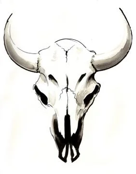 Bull skull Stock Illustration