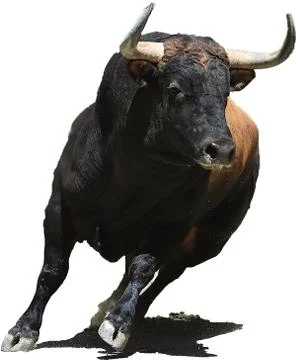 Bull in spain Stock Photos