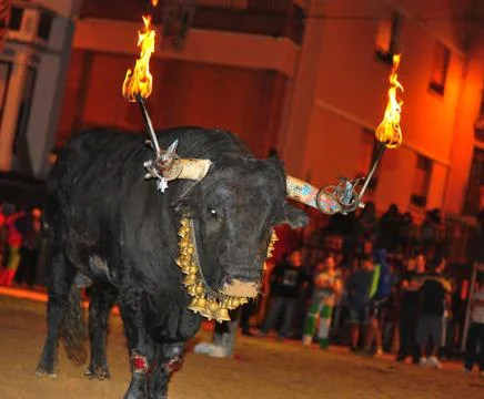 Bull in spain Stock Photos