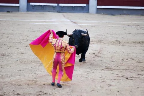 Bull in spain Stock Photos