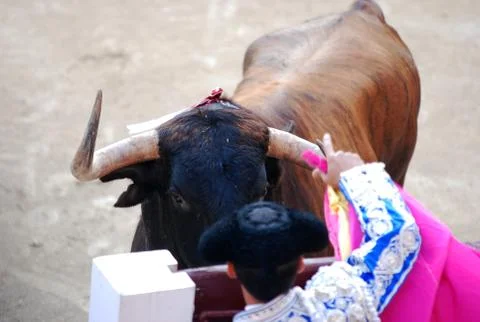 Bull in spain Stock Photos