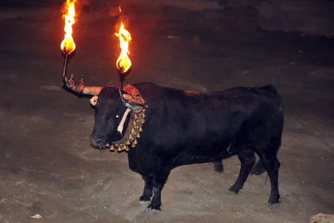 Bull in spain Stock Photos