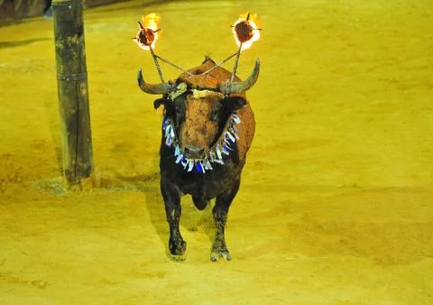 Bull in spain Stock Photos