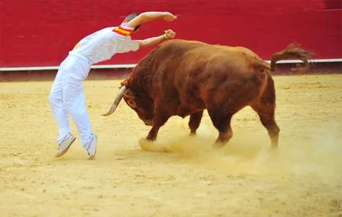 Bull in spain Stock Photos