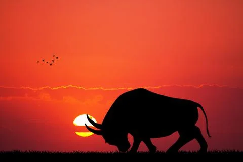 Bull at sunset Stock Illustration