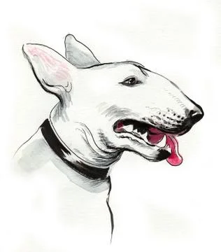 Bull terrier Illustrazione stock