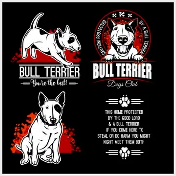 Bull Terrier - vector set for t-shirt, logo and template badges Stock Illustration
