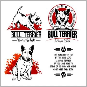 Bull Terrier - vector set for t-shirt, logo and template badges Stock Illustration
