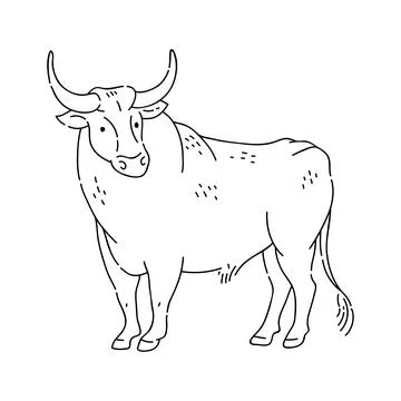 Bull vector doodle animal of Eastern astrological calendar black outline on Stock Illustration