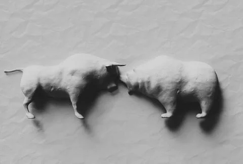 Bull Versus Bear Stock Illustration