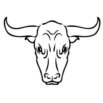 Bull on white background Stock Illustration
