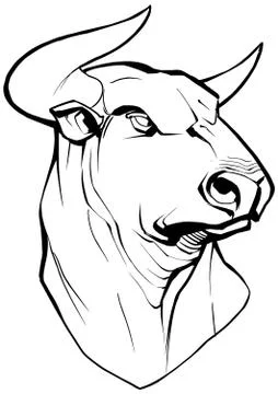 Bull on White Stock Illustration
