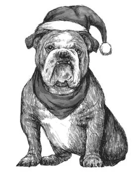Bulldog with christmas hat 스톡 일러스트