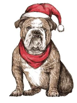 Bulldog with christmas hat 스톡 일러스트