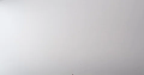Bulldog clips fall onto a white table top Stock Footage 117349483
