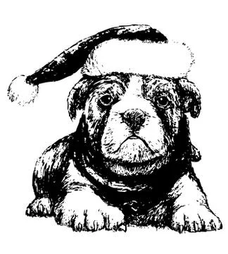 Bulldog with hat 스톡 일러스트