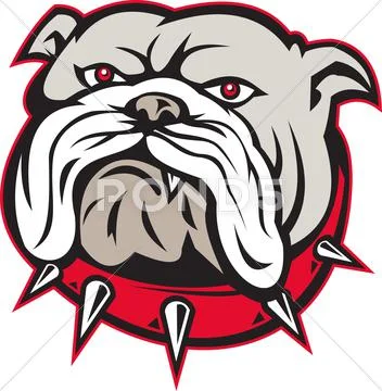Bulldog head front Stock Illustration