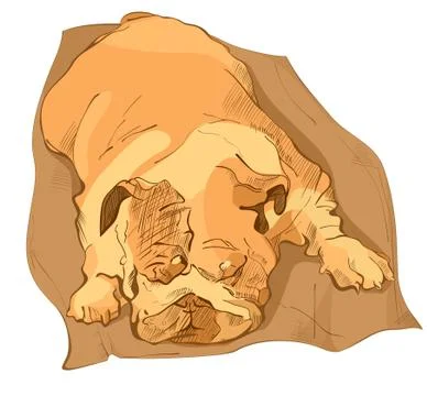 BULLDOG Illustrazione stock